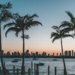 29 Best Things to Do in Miami Today, Sunday, September 13, 2026