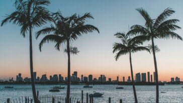 29 Best Things to Do in Miami Today, Sunday, September 13, 2026