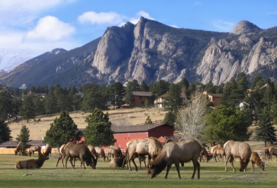 Estes Golf Course