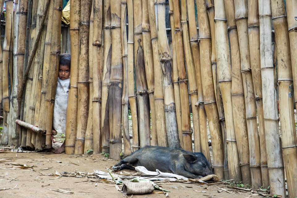 Nagaland India