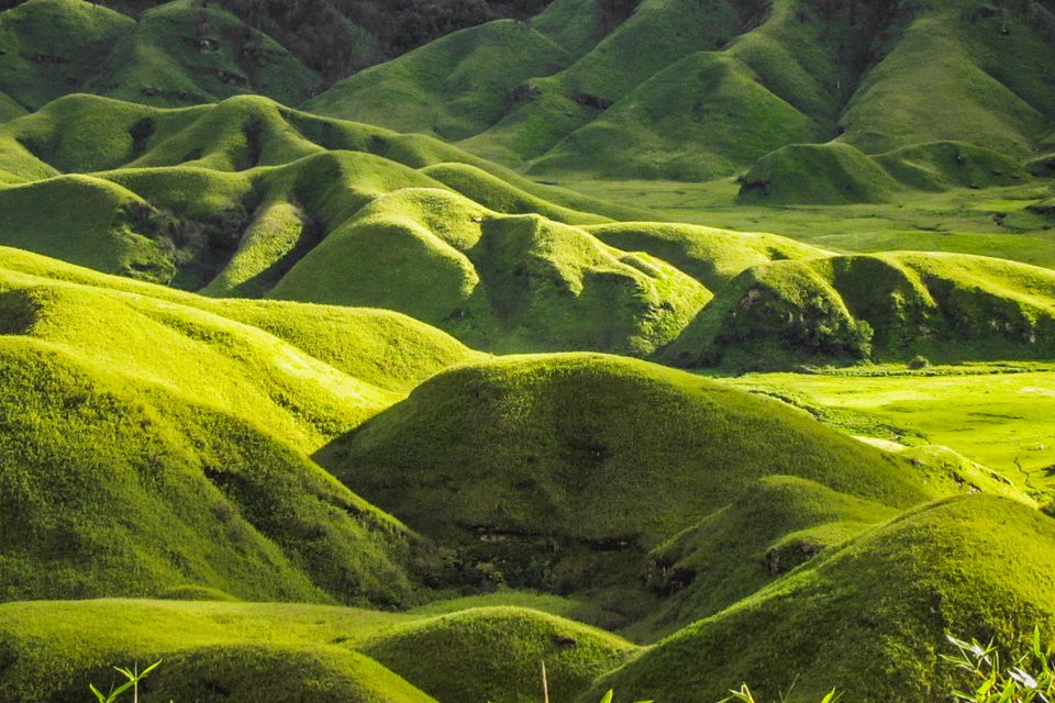 Nagaland India