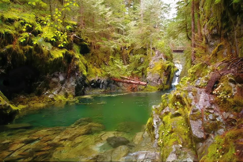 Swimming Holes