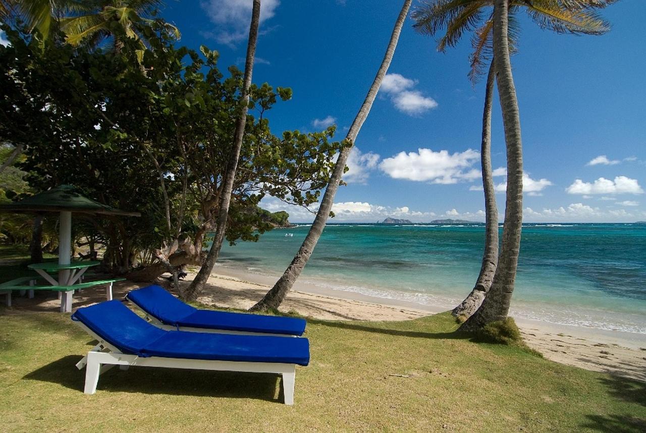 Sugar Reef Estate Bequia, Grenadines Always Packed