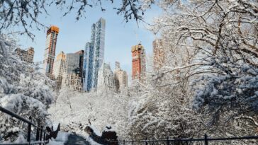 What to Always Do in NYC in 2026: Pizza, Bagels, Times Square & Silly Nice