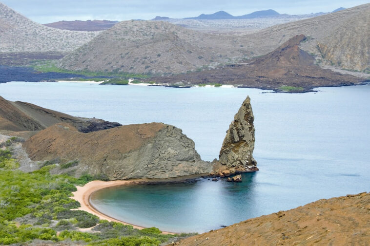 Discovering the Wonders of Galápagos Islands: A Travel Guide