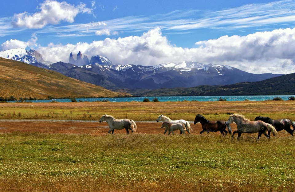 Off Grid Patagonia