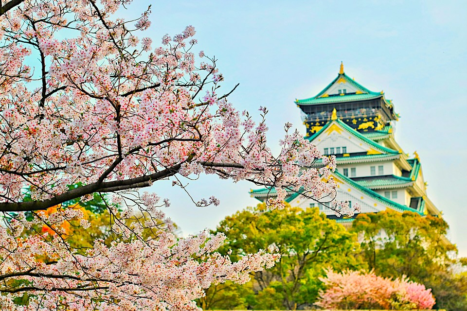 Spring abroad