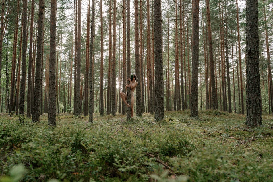 forest bathing