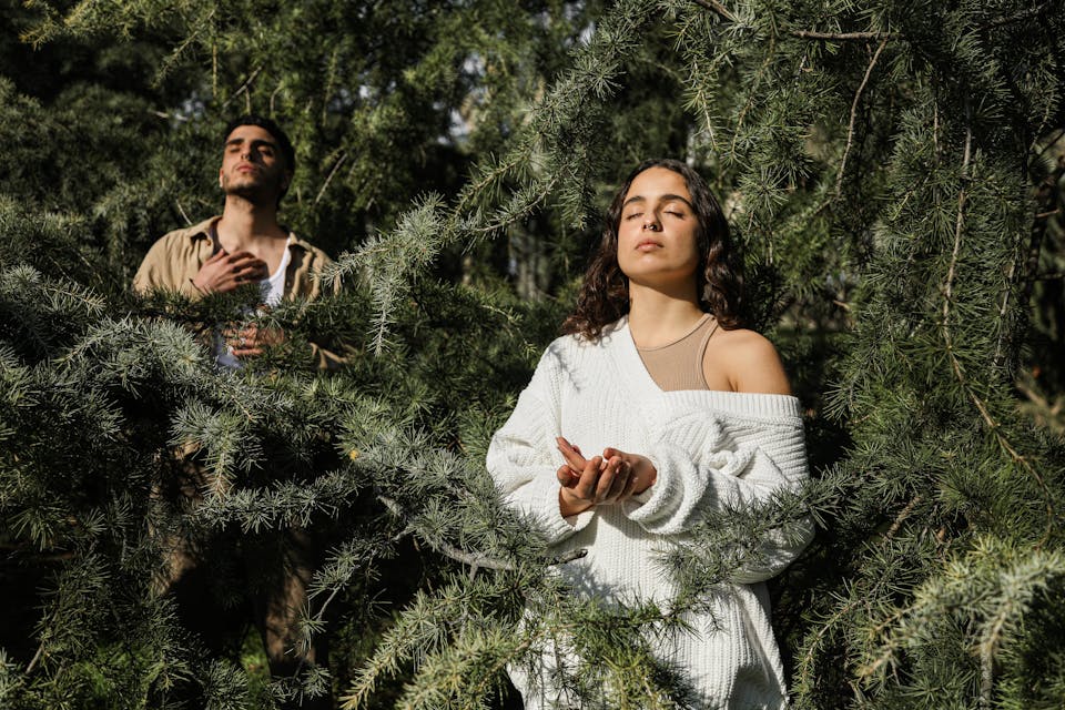 forest bathing