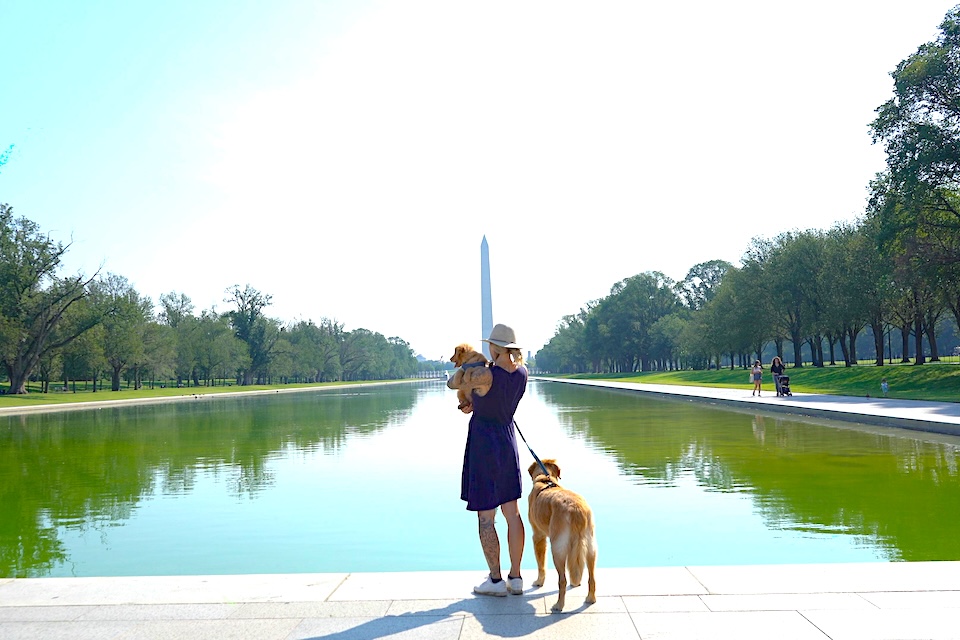 Washington, DC