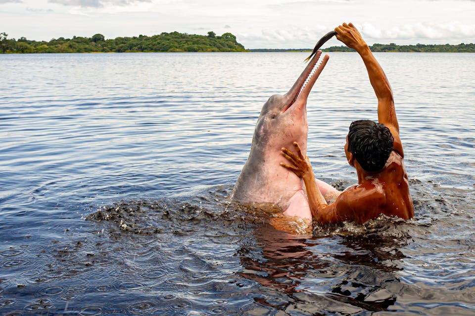 Amazon River