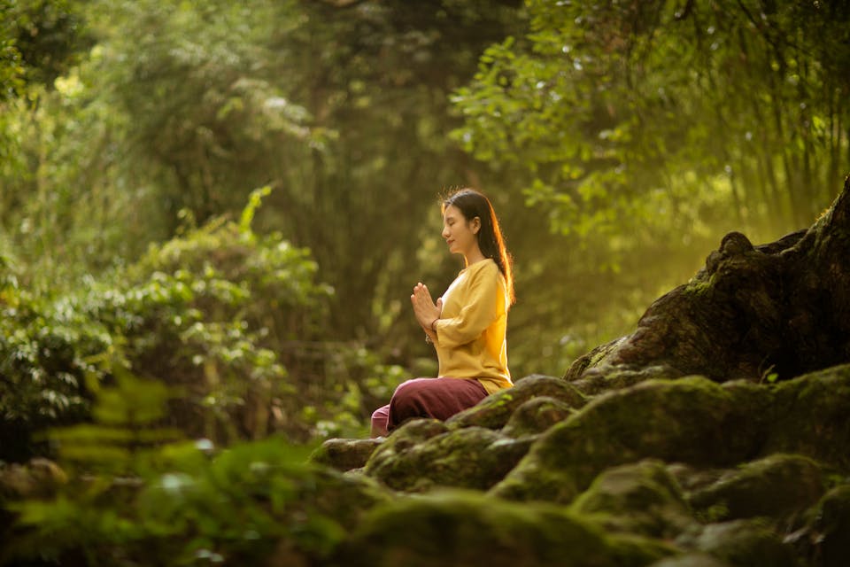 forest bathing