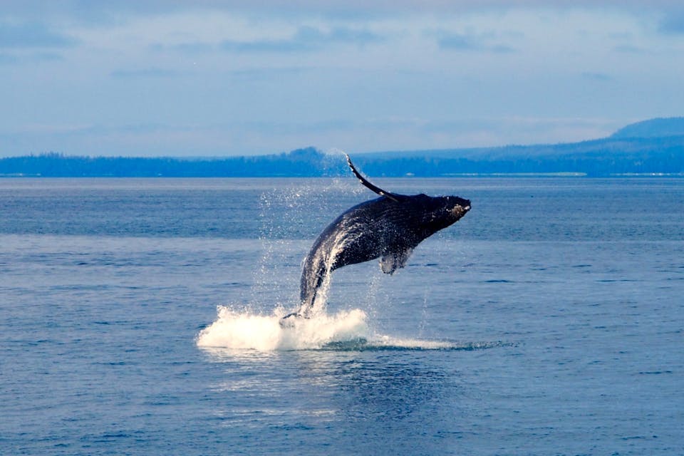 fishing spots Alaska