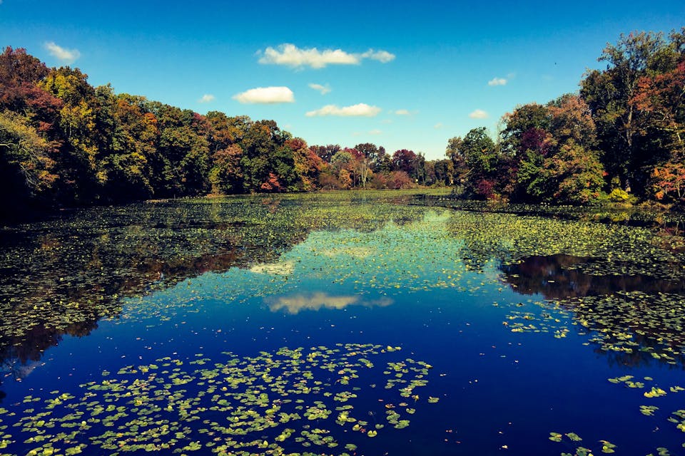 Brandywine Valley